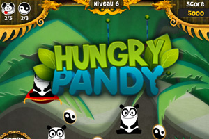 Hungry Pandy